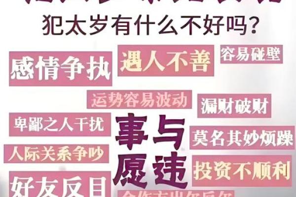 属猪2025年 属猪2025年多大岁数了 属猪2025年 属猪2025年多大岁数了