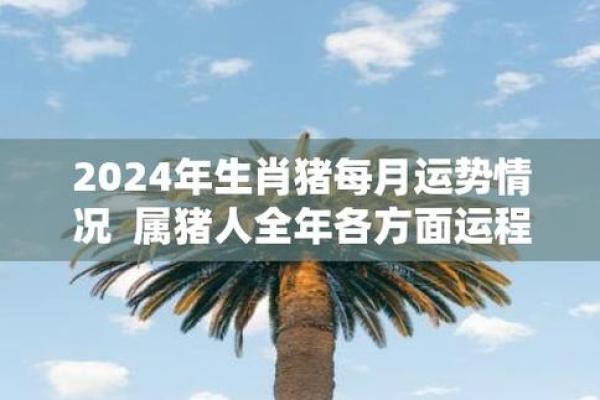 2025年属猪多大岁数_2025年属猪人年龄计算及运势解析 2025年属猪多大岁数_2025年属猪人年龄计算及运势解析