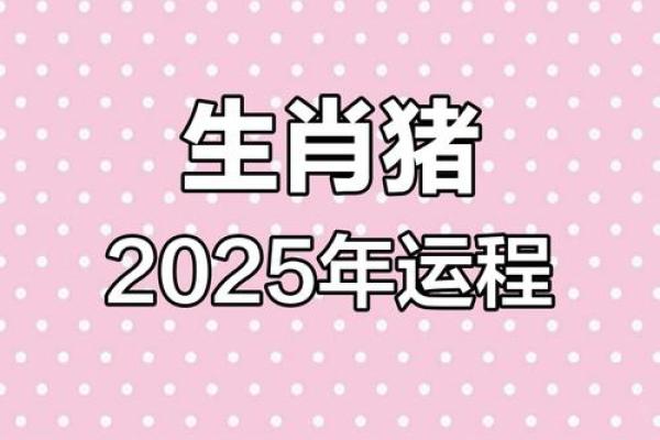 2025属猪的几岁_2025属猪的几岁了 2025属猪的几岁_2025属猪的几岁了