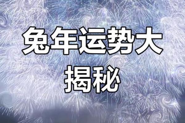 属兔在2025年的运势怎么样 全年 2025年属兔全年运势详解财运事业感情全面解析 属兔在2025年的运势怎么样 全年 2025年属兔全年运势详解财运事业感情全面解析