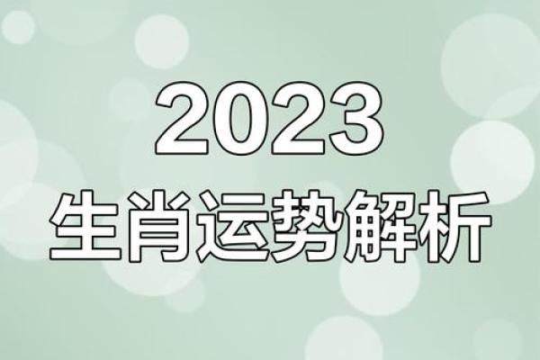 2023年最旺最顺的生肖 2023年最旺最顺的生肖