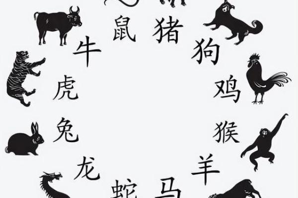 2025年属兔的年龄表 2024年属兔的年龄表 2025年属兔的年龄表 2024年属兔的年龄表