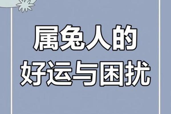 属兔2025年幸运数字 2025年属兔人的全年运势1999出生 属兔2025年幸运数字 2025年属兔人的全年运势1999出生
