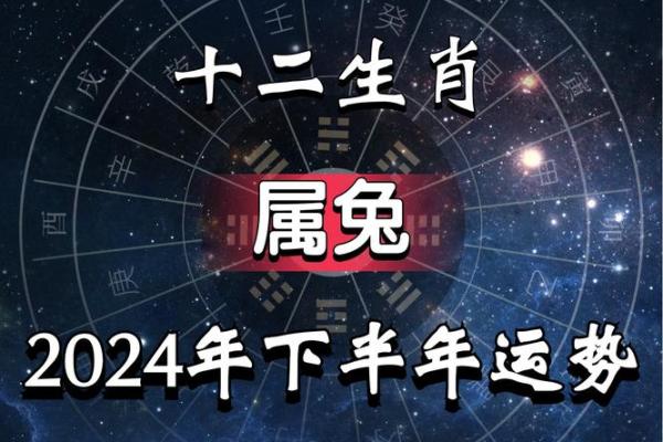 属兔2025年幸运数字 2025年属兔人的全年运势1999出生 属兔2025年幸运数字 2025年属兔人的全年运势1999出生