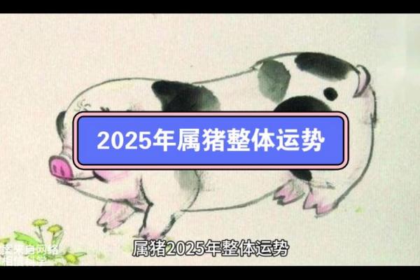 1995属猪2025可以结婚吗 1995属猪2025年结婚运势解析适合结婚吗