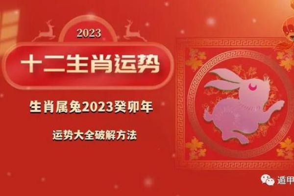 1999年属兔女2025年全年运势 2025年属兔女人的全年运势详解