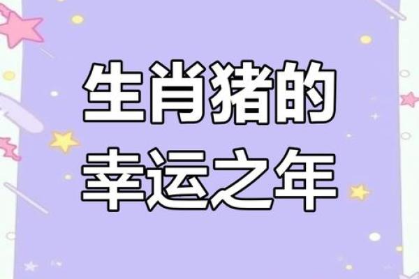2007年属猪2025年运势 2007年属猪2025年运势详解财运事业感情全解析