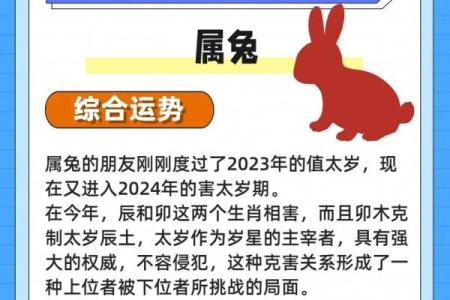 2025年属兔全年运势_2025年属兔全年运势笫一星座网