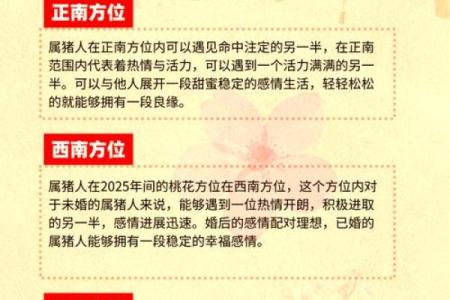 属猪2025年 属猪2025年多大岁数了