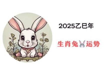 1975年女兔2025年运势_1975年女兔2025年运势4月28