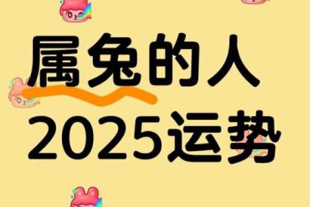 1975年属兔2025年财运解析机遇与挑战并存
