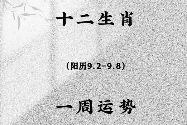 1988年2月13日属龙还是属兔_1988年2月13日出生属什么