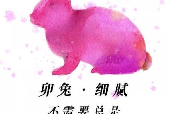 2025麦玲玲属兔详解_2025年麦玲玲属兔运势详解财运事业感情全解析