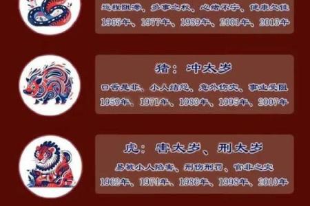 2025属猪人_2025属猪人犯太岁戴什么好