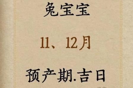 打麻将吉日表属兔的人_兔年打麻将的吉位和运程