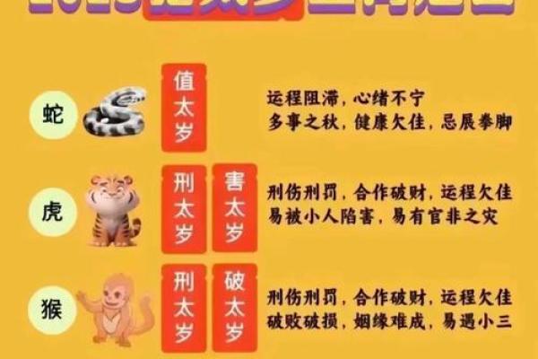 2025年属猪冲太岁_2025年属猪冲太岁运势解析及化解方法