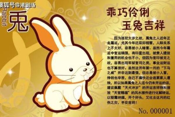 2025年属兔人的全年每月_2025年属兔人的全年每月运势