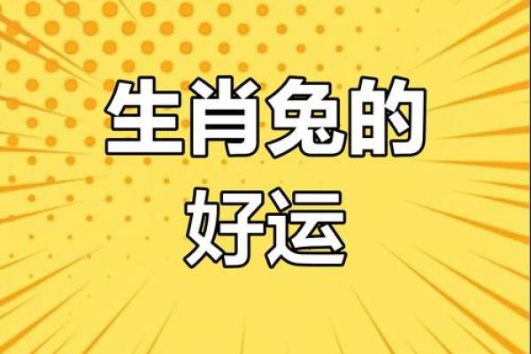 75属兔的今年每月运势怎么样_2023年75属兔每月运势详解全年运程大揭秘