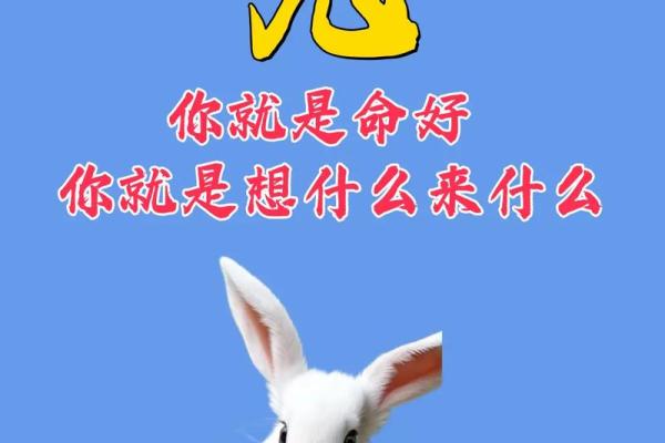 1975年兔今年运气 1975年兔今年运气五月出生好吗