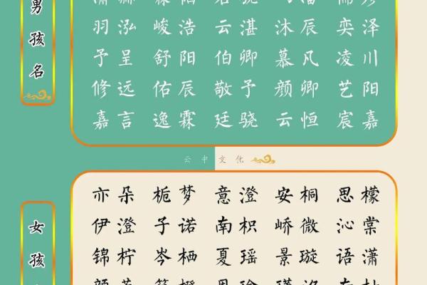 属兔今年多大年纪 2023年属兔人年龄查询今年你多大