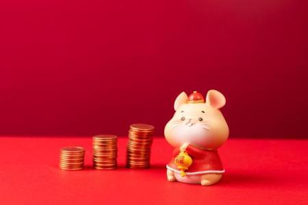 属猪2025年转运_2025年属猪人转运指南如何把握机遇迎接好运