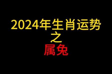 属兔人今天运势和财运_属兔人今天运势和财运20241月28号出生