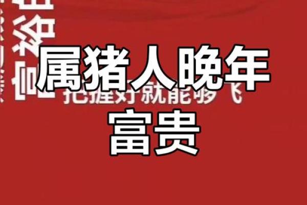 59年属猪的晚年命运如何_59年属猪的晚年命运如何男人 59年属猪的晚年命运如何_59年属猪的晚年命运如何男人