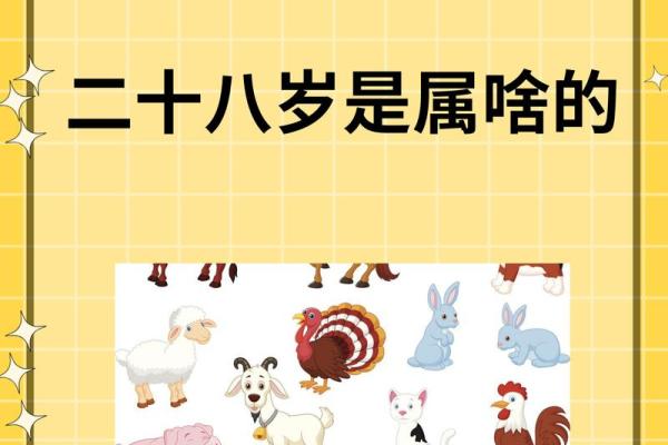1995年属猪女2025年每月运势_1995年属猪女2022年的命运