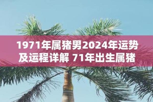 71年属猪2025年运势及年龄解析54岁如何转运 71年属猪2025年运势及年龄解析54岁如何转运