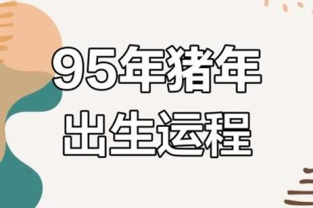 属猪2023年的运势及运程_属猪2023年的运势及运程男
