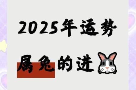 2025属兔要警惕一个人_2025年炉中火87年兔37岁
