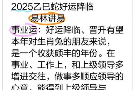 87年兔2025年的运势及运程_2025年87年兔运势解析运程详解与吉凶预测