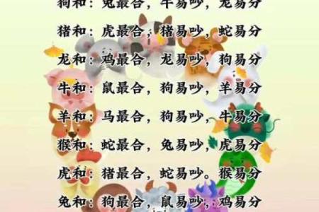男兔与什么属相相合最好 男兔最佳婚配属相与哪些生肖最相合