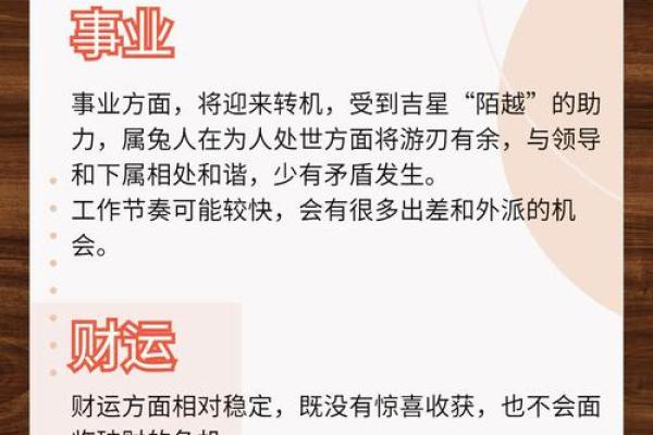 2025年属兔的全年运程_2025年属兔全年运程详解运势大揭秘与提升指南