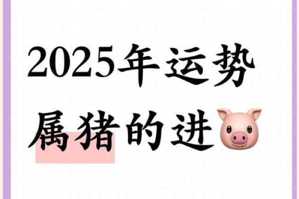 属猪多少岁2025 属猪多少岁了哪年出生的