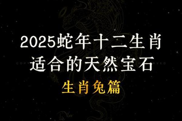2025年蛇年属兔的运势怎么样_2025年属蛇命运