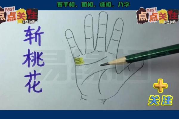 71属猪的桃花劫是多少岁_71年属猪人桃花劫年龄揭秘几岁最易遇感情危机 71属猪的桃花劫是多少岁_71年属猪人桃花劫年龄揭秘几岁最易遇感情危机