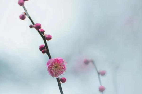 2021年立春几点几分