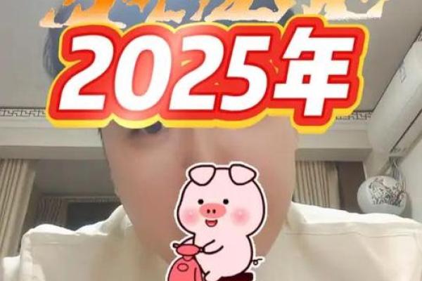 属猪的今年多大2025 属猪的今年是多少岁 属猪的今年多大2025 属猪的今年是多少岁