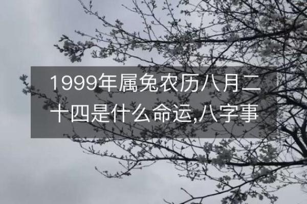 1999年属兔婚姻和运势_1999年属兔人婚姻命运