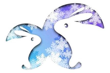 属马和属猪的适合做夫妻吗_男鸡女马属相婚配好不好