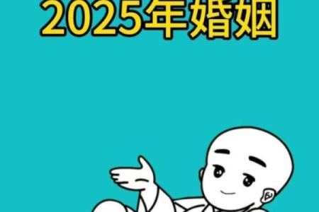 属兔在蛇年运势2025年运势_1987年是苦命兔还是富兔