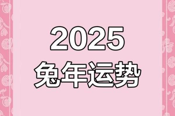 兔年2025年的运势怎么样_2025年兔年运势解析财运事业爱情全预测