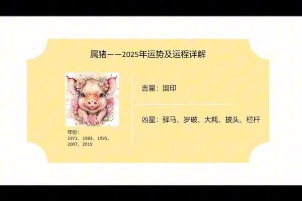 2025年属猪人幸运色揭秘助你运势飙升的秘诀