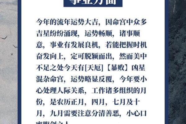 属猪人2025全年运势及运程 2025年属猪人全年运势详解运程大揭秘