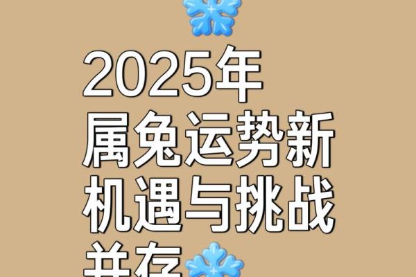 2025属兔大爆发的一年 2025属兔大爆发运势巅峰机遇与挑战并存