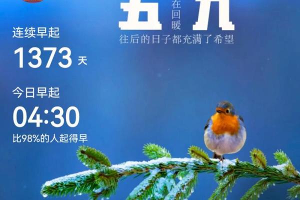 2020年数九从哪一天开始 2020年数九从哪一天开始