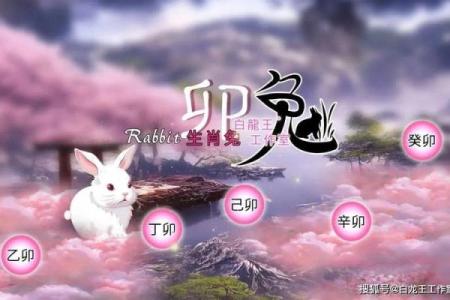 兔年2025年的运势怎么样_2025年兔年运势解析财运事业爱情全预测