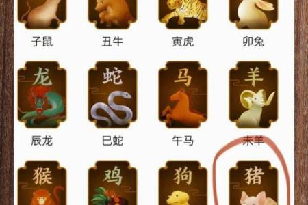 属猪和属龙的婚姻相配吗_属猪和属龙的婚姻相配吗解析生肖配对奥秘