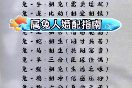 1987年已婚属兔女2025年_1987年已婚属兔女2025年运势解析与婚姻指南